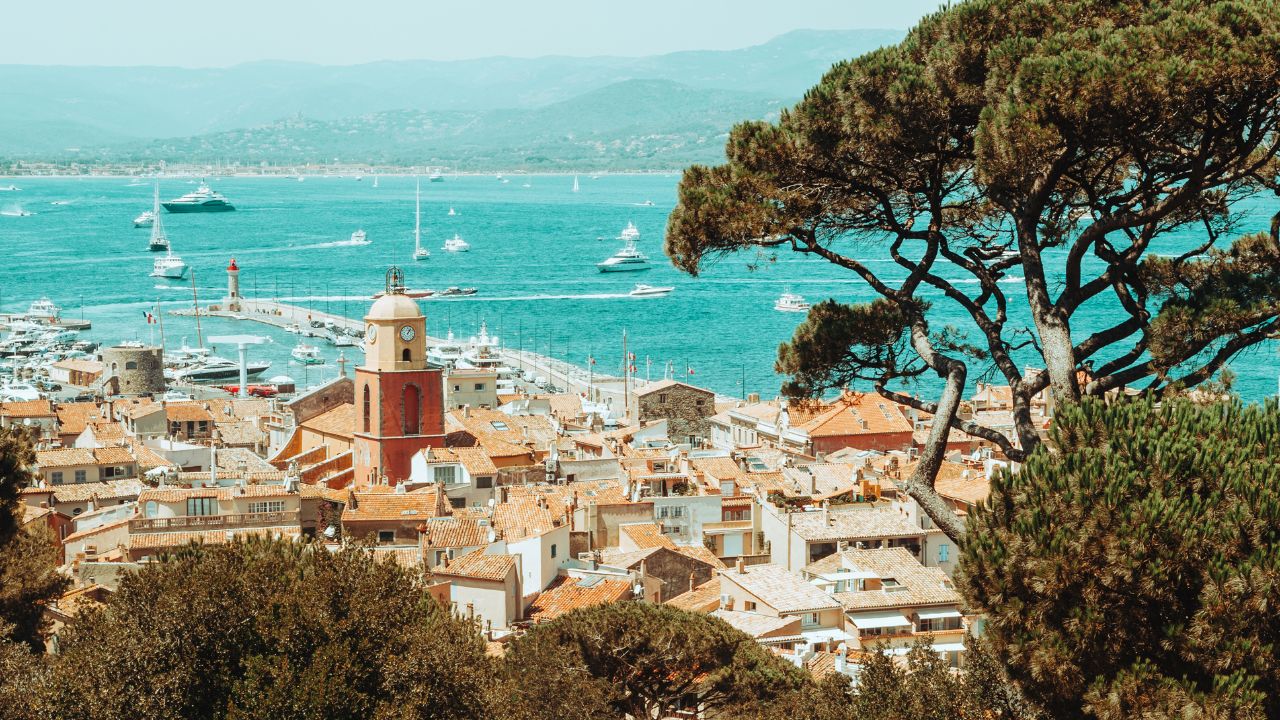 Évacuation après abattage dans le Golfe de Saint-Tropez